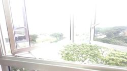 Blk 994A Buangkok Woods (Hougang), HDB 2 Rooms #633416081